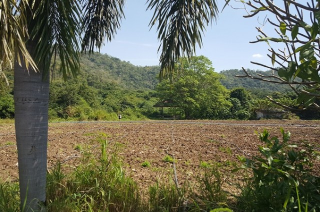 ขายที่ดินสวยติดแม่น้ำป่าสัก วิวภูเขาล้อมรอบ อำเภอแก่งคอย จังหวัดสระบุรี