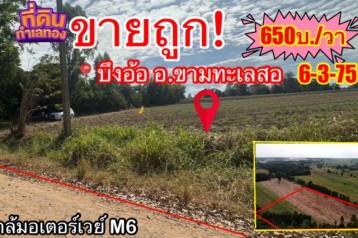 ขายถูก (จำเป็นต้องขาย) ที่ดินขามทะเลสอ บ้านบึงอ้อ✅ ศักยภาพยอดเยี่ยม ราคาดี๊ดี ????ใกล้มอเตอร์เวย์