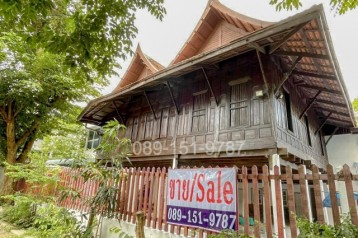 ขายบ้านเรือนไทยริมแม่น้ำ อยุธยา  บรรยากาศธรรมชาติ