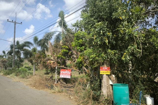 ขายที่ดินสวยติดแม่น้ำป่าสัก วิวภูเขาล้อมรอบ อำเภอแก่งคอย จังหวัดสระบุรี