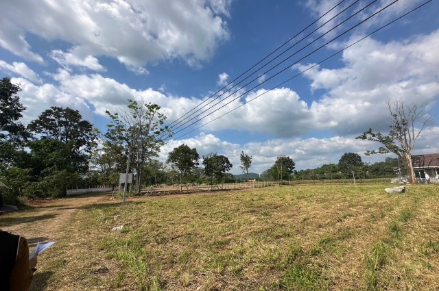 ที่ดินเขาใหญ่ฯ  | 1-0-75 ไร่.| 4.75 ล.| ติดหน้าผารีสอร์ท(หายาก) ต.หมูสีเขาใหญ่ฯ