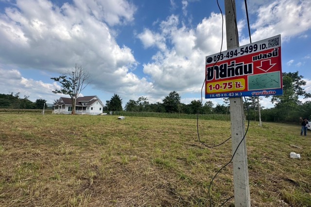 ที่ดินเขาใหญ่ฯ  | 1-0-75 ไร่.| 4.75 ล.| ติดหน้าผารีสอร์ท(หายาก) ต.หมูสีเขาใหญ่ฯ