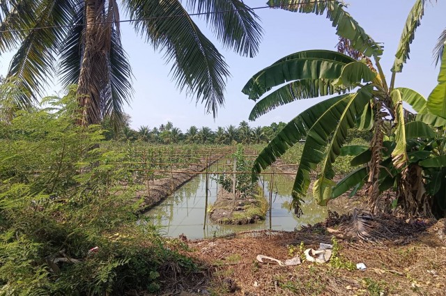 ขายที่ดินเนื้อที่ 10 ไร่ บ้านหัวอ่าว อ.สามพราน จ.นครปฐม เหมาะสร้างบ้านและทำสวนการเกษตร