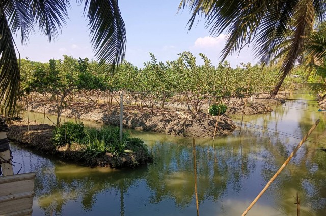 ขายที่ดินเนื้อที่ 10 ไร่ บ้านหัวอ่าว อ.สามพราน จ.นครปฐม เหมาะสร้างบ้านและทำสวนการเกษตร