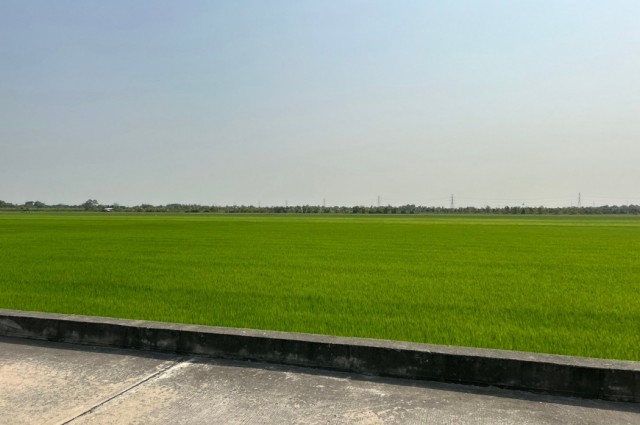 ขายที่ดิน 100 ตรว. ถนน เรียบคลองเจ็ก ลาดหลุมแก้ว ปทุมธานี หน้ากว้าง 17.6 เมตร ลึก 23.8 เมตร