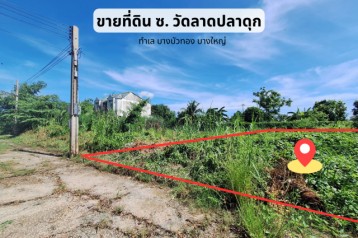 ขายที่ดิน บางบัวทอง ถูก 107ตร.ว. ซอยวัดลาดปลาดุก แปลงสวย ริมในสุด หลังโรงเรียนวัดลาดปลาดุก