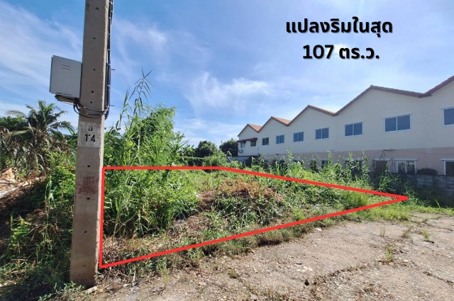 ขายที่ดิน บางบัวทอง ถูก 107ตร.ว. ซอยวัดลาดปลาดุก แปลงสวย ริมในสุด หลังโรงเรียนวัดลาดปลาดุก