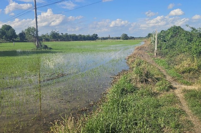 ขาย ที่ดิน ติดถนนปทุมธานี-บางปะหัน อ.พระนครศรีอยุธยา 11 ไร่ 3 งาน 71 ตร.วา
