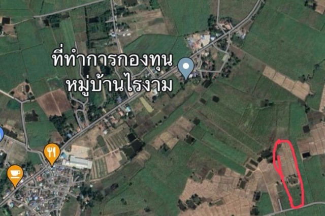 ขายที่ดินครุฑแดง 14ไร่ 1งาน ติดถนน ใกล้ชุมชน ท่าม่วง กาญจนบุรี สนใจโทร 062 348 5132