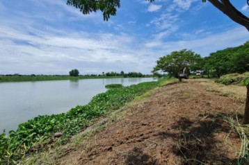 ขาย ที่ดิน 14 ไร่ แปลงสวย หน้าทางเข้าติดถนนทางหลวง หลังติดริมแม่น้ำท่าจีน ยาว 200 เมตร บางเลน นครปฐม