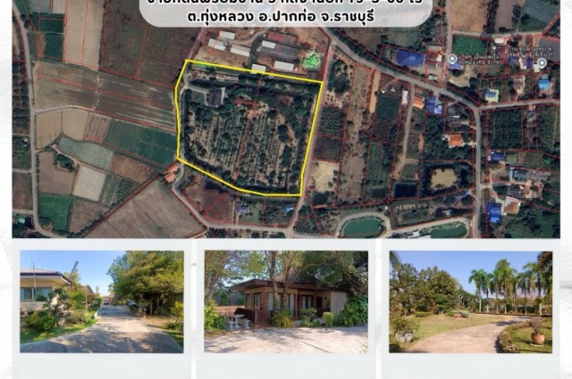 ขายที่ดินพร้อมบ้าน เนื้อที่ 19-3-66 ไร่ ต.ทุ่งหลวง อ.ปากท่อ ราชบุรี
