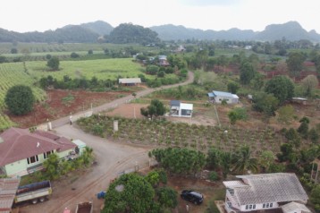 ขาย ที่ดิน เขาใหญ่ ต.​คลองม่วง​ อ.ปากช่อง 19 ไร่ ​เห็นทิวเขา สวยสุดๆ​
