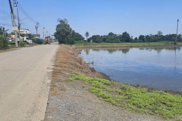 ขาย ที่ดิน ไทรน้อย 200 ตร.วา ติดทางหลวงชนบท ต.ราษฎร์นิยม  จ.นนทบุรี