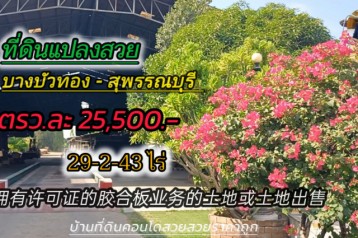 ขาย ที่ดิน  ที่ดินสวยใกล้ถนน บางบัวทอง-สุพรรณบุรี ที่ดิน บางบัวทอง-สุพรรณบุรี 20000 ตรม 29 ไร่ 2 งาน 43 ตรว