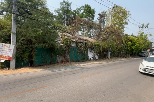 ขายด่วน ที่ดิน  207  ตรว พิกัด ต.เหมืองง่า  อ.เมือง  จ.ลำพูน ติดถนนสันเหมืองเหนือ 