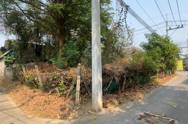 ขายด่วน ที่ดิน  207  ตรว พิกัด ต.เหมืองง่า  อ.เมือง  จ.ลำพูน ติดถนนสันเหมืองเหนือ 