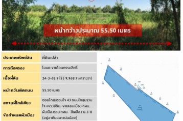 เจ้าของที่ดินขายเอง (ยินดีรับนายหน้า) ขายที่ดินเปล่า 24-3-68.9 ไร่ โกสุมรวมใจ 43