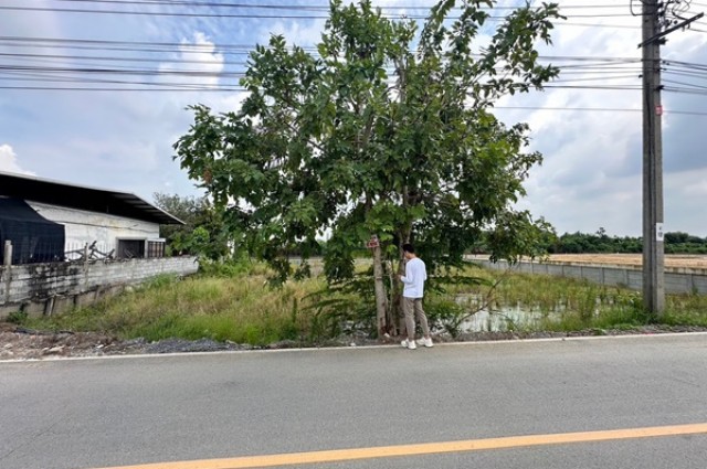 ขายที่ดิน 263 ตรว. พร้อมถมดินให้ ซอยวัดพูนพิมลราช ต.พิมลราช อ.บางบัวทอง จ.นนทบุรี โทร 088-899-8965