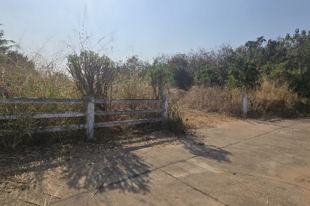 ขายด่วนที่ดิน จ.กาญจนบุรี 3งาน 68ตรว. อ. ท่าม่วง จ.กาญจนบุรี