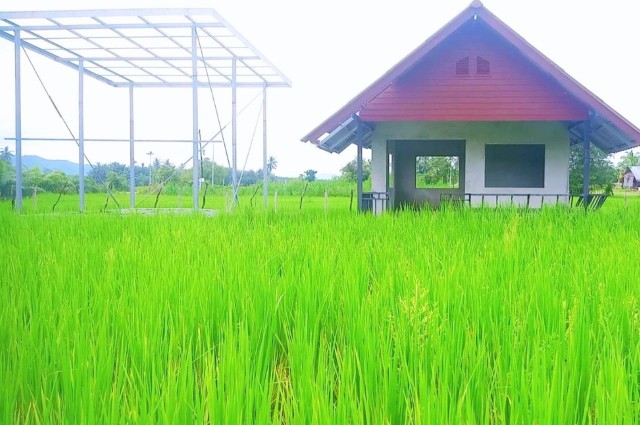 ขายที่ดินพร้อมสิ่งปลูกสร้าง 3ไร่ 95 ตร.ว เกาะลันตา เมือง กระบี่ (บ้านพักตากอากาศส่วนตัว หรือ สร้างพูลวิลล่า, รีสอร์ท , ที่พักได้)