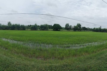 ขายด่วน ราคาถูกมาก ที่นา 33 ไร่ บ้านส้มโฮง ตำบลหินกอง