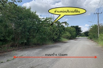 ขาย ที่ดินเปล่า ในโครงการวิจิตราธานี บางนา กม. 36 ต้นโครงการ 224ตร.ว.