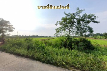 ขายที่ดินเนื้อที่ 38 ไร่ 11 ตารางวา ติดถนนวัดสุขใจ เขตคลองสามวา กทม.