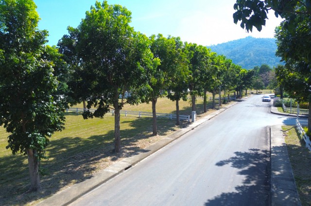 ขาย ที่ดิน เขาใหญ่ ต.​หมูสี​ อ.ปากช่อง 396 ตรว ​แค่เห็นวิว ก็มีความสุขแล้ว
