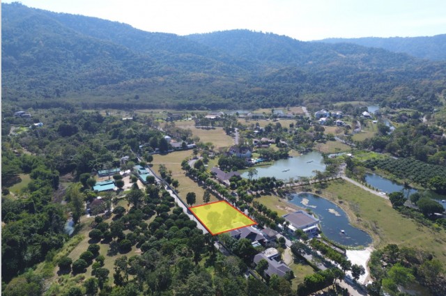 ขาย ที่ดิน เขาใหญ่ ต.​หมูสี​ อ.ปากช่อง 396 ตรว ​แค่เห็นวิว ก็มีความสุขแล้ว