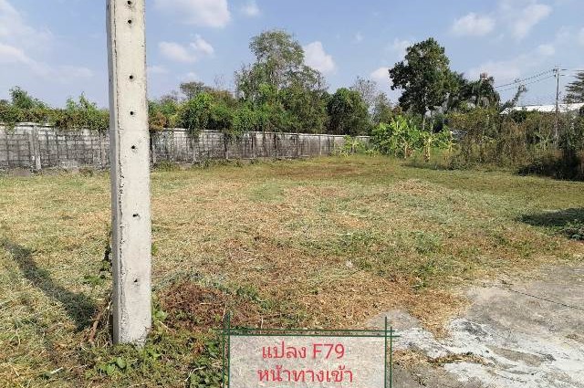 ขายที่ดินในหมู่บ้านเนเบอร์โฮม สุขาภิบาล5