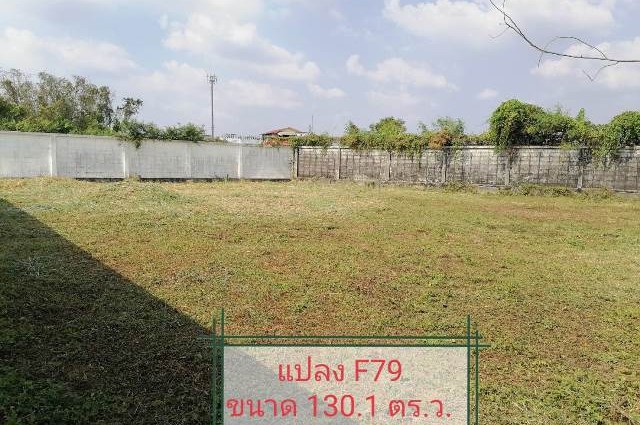 ขายที่ดินในหมู่บ้านเนเบอร์โฮม สุขาภิบาล5