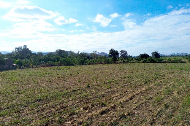ขาย ที่ดิน เขาใหญ่ ต.​หมูสี​ อ.ปากช่อง 5 ไร่ ​เห็นทิวเขา สวยสุดๆ