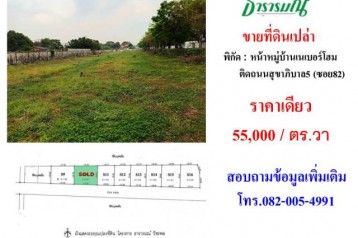 ขายที่ดินใกล้ถนนสุขาภิบาล5 