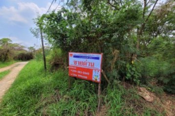 ที่ดินเปล่า เหมาะสร้างที่พักอาศัย บางม่วง บางใหญ่  50 ตร.วา (ต่อรองราคาได้)