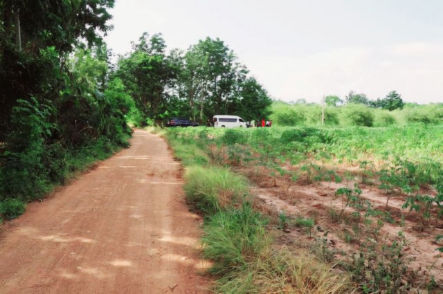 ขาย ที่ดิน เมืองเพชรบูรณ์ 7 ไร่ 3 งาน 27.6 ตร.วา ติดถนนสาธารณะ เหมาะทำบ้านสวนเกษตร