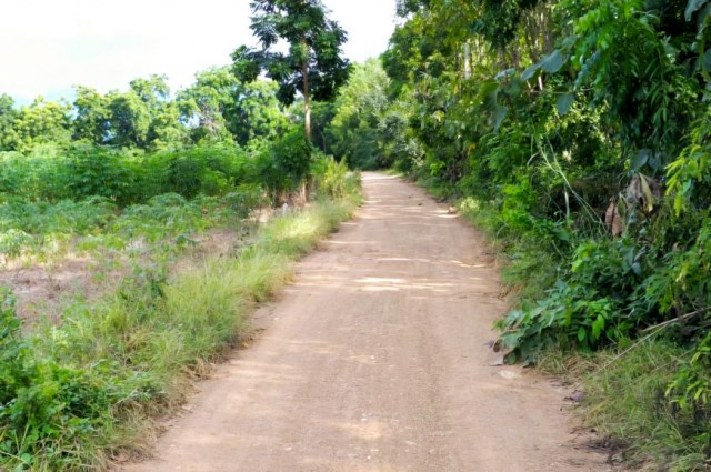 ขาย ที่ดิน เมืองเพชรบูรณ์ 7 ไร่ 3 งาน 27.6 ตร.วา ติดถนนสาธารณะ เหมาะทำบ้านสวนเกษตร