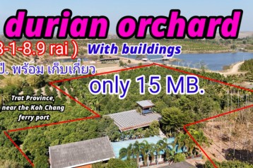 ขายสวนทุเรียนหมอนทองแถม บ้าน  ขนาดใหญ่ (เนื้อที่ 8-1-8.9 ไร่.)ต.เทพนิมิต  อ.เขาสมิง จ.ตราด