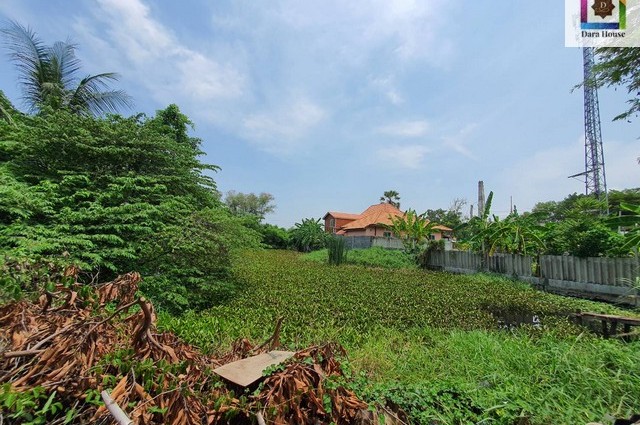 ขายที่ดินเปล่า 953 ตร.ว ถ.เพชรเกษม 110 แยก 19 หนองแขม กรุงเทพฯ ใกล้รร.บ้านขุนประเทศ
