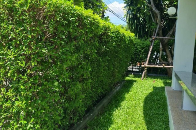 ให้เช่า บ้านเดี่ยว M839 บ้านมัณฑนา ศรีนครินทร์ 220 ตรม 60 ตรว