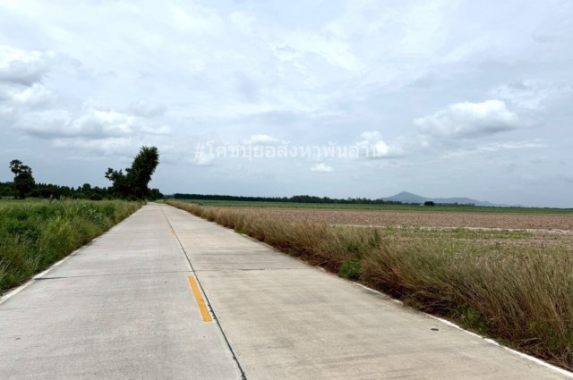 ขาย ที่ดิน ME376 ทำเลดี ราคาถูกสุดในย่านนี้ หนองอิรุณ บ้านบึง ชลบุรี . 50 ไร่ ใกล้เขตอุตสาหกรรมอาหารสยาม นิคมอมตะชลบุรี2 ถนน 331 เพียง 3 Km.